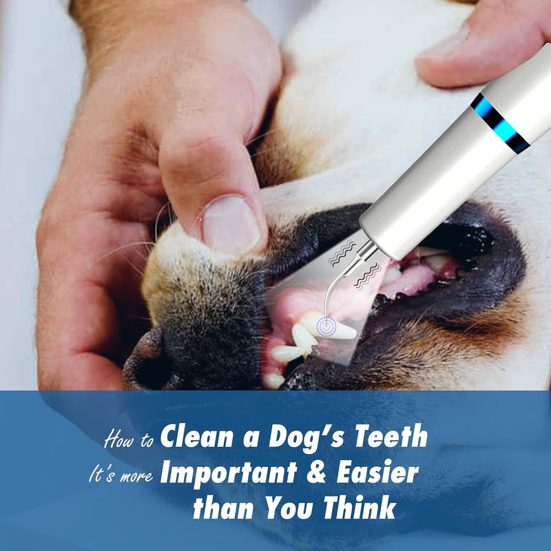 Kit cepillado de Dientes PERRO - Asegura la salud bucal de tu mascota