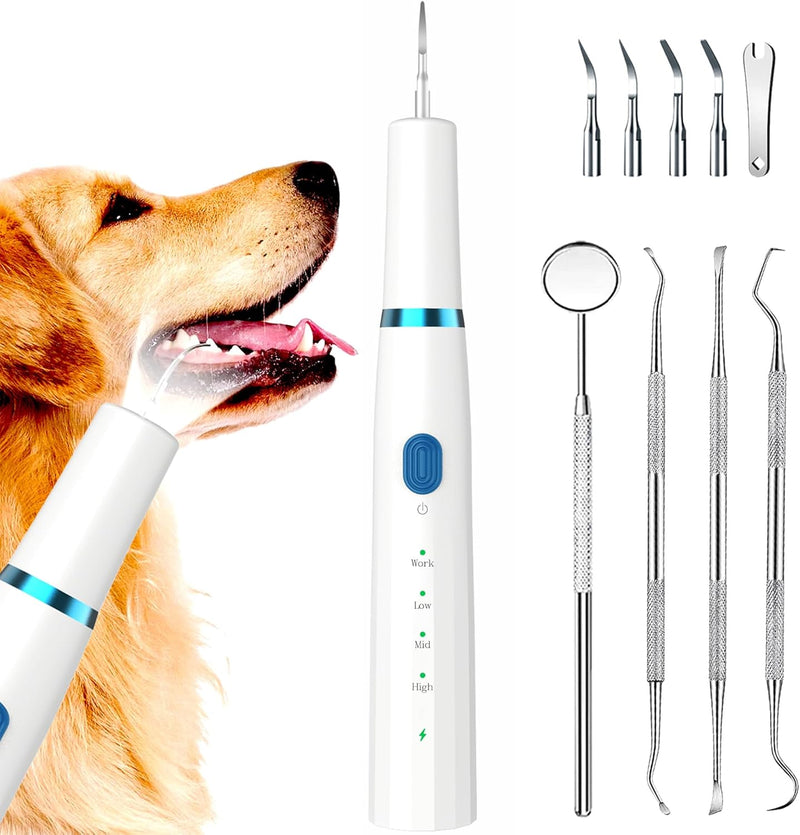 Kit cepillado de Dientes PERRO - Asegura la salud bucal de tu mascota