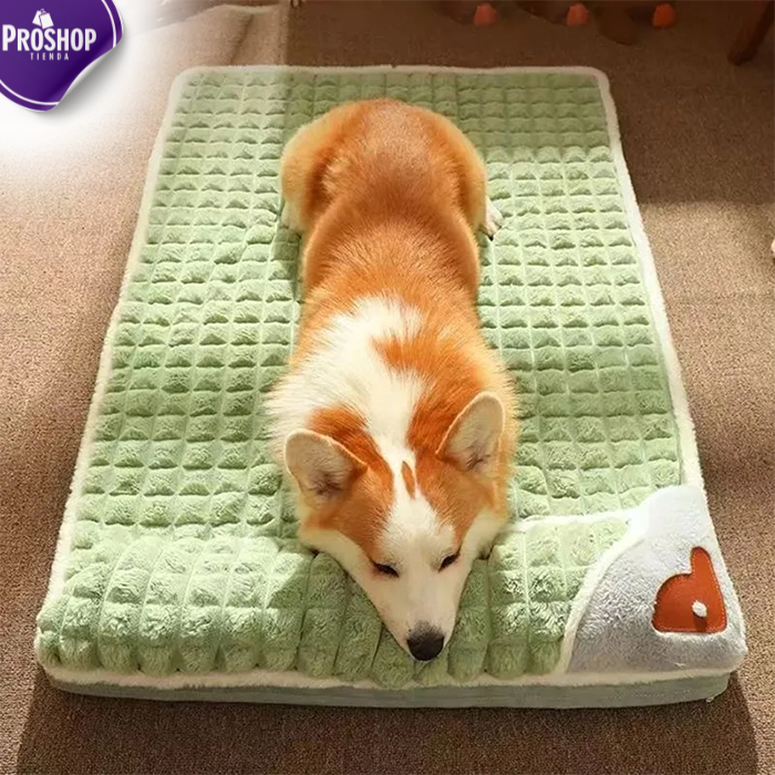 Cama Ortopedica para Mascotas - Brinda el máximo confort y bienestar a tu mascota