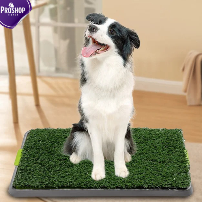 TAPETE PARA MASCOTAS GRANDE - ¡Comodidad y Práctica para tu Compañero!