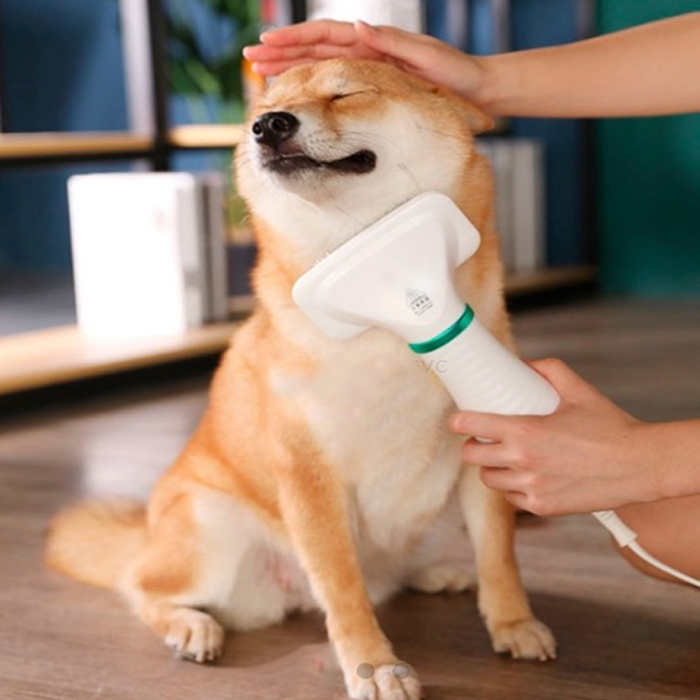 Cepillo Para Perro - Transforma la rutina de cuidado de tu mascota en una experiencia