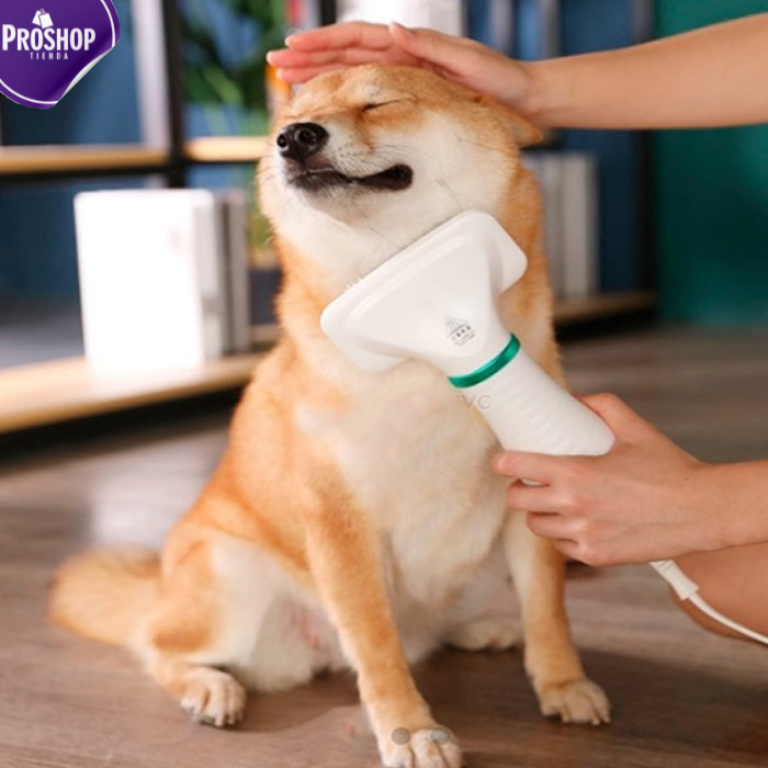 Cepillo Para Perro - Transforma la rutina de cuidado de tu mascota en una experiencia